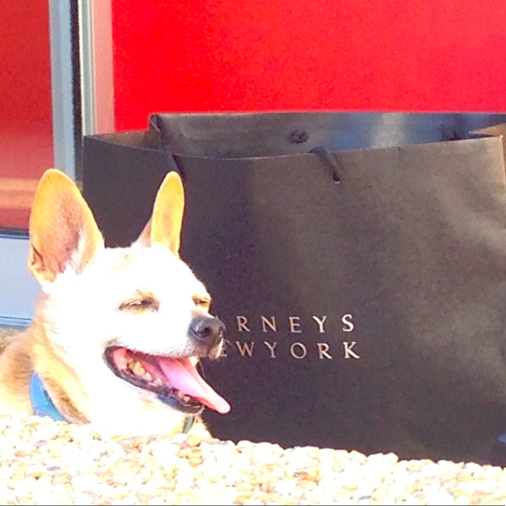 Meet your Posher, Sharon